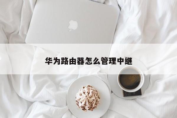 华为路由器怎么管理中继