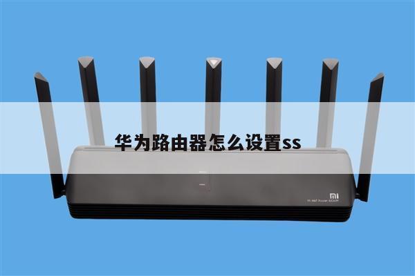 华为路由器怎么设置ss