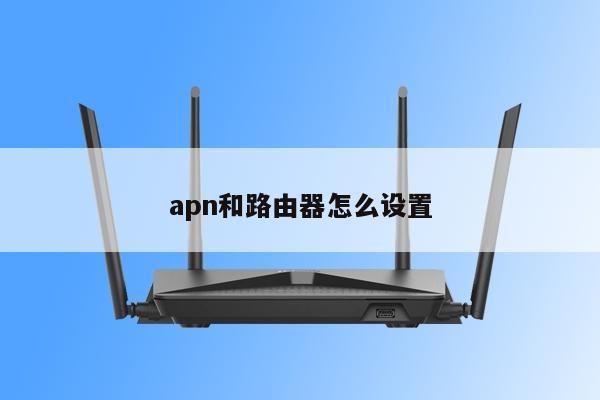 apn和路由器怎么设置