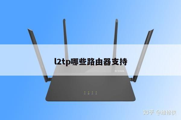 l2tp哪些路由器支持