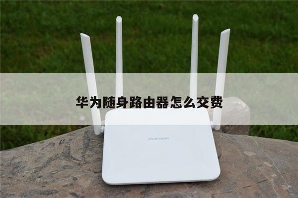 华为随身路由器怎么交费