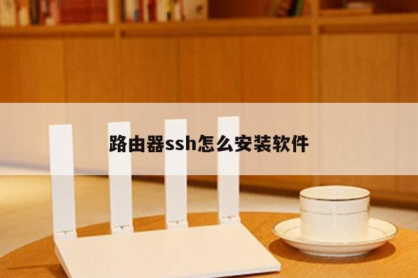 路由器ssh怎么安装软件
