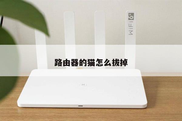 路由器的猫怎么拔掉
