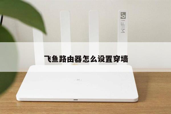 飞鱼路由器怎么设置穿墙