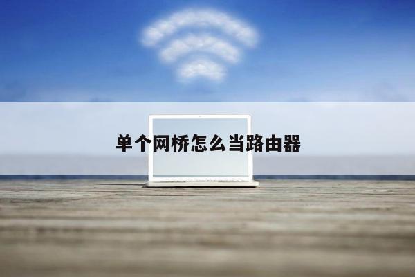 单个网桥怎么当路由器