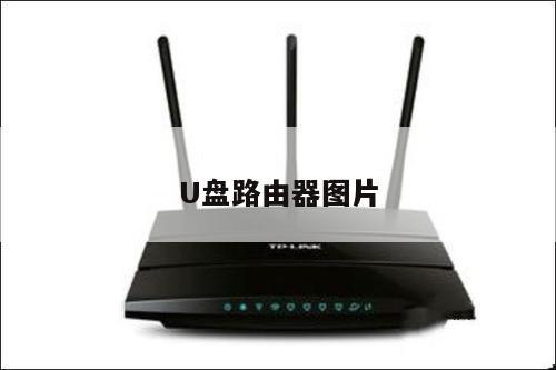 U盘路由器图片