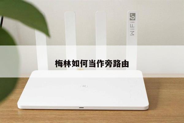 梅林如何当作旁路由