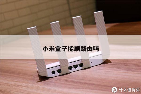小米盒子能刷路由吗