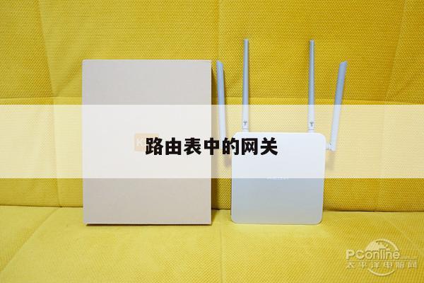 路由表中的网关