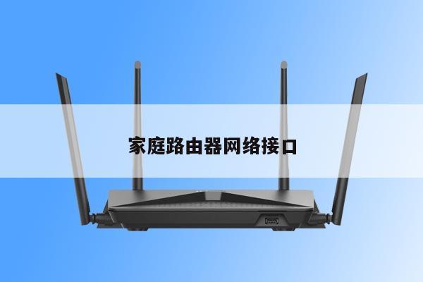 家庭路由器网络接口
